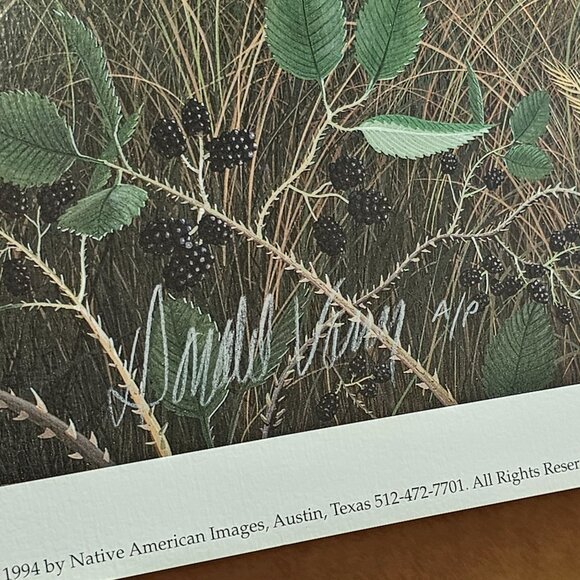 Limited Edition Signed Artist Proof Prints By Donald Vann The Providers 15x11.5 - Picture 9 of 11